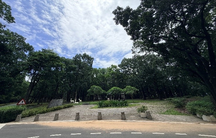 新威森林公園園環廣場3